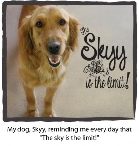the-skyy-is-the-limit-2